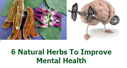 6 Natural Herbs To Improve Mental Health
