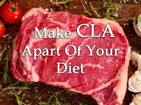 All You Need To Know About Cla and Fat loss