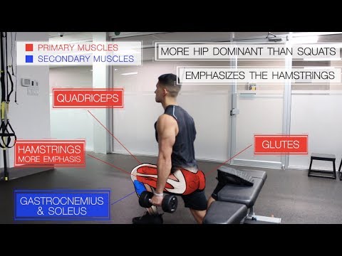 The Entirely Science-Essentially based fully Leg Workout for Increase (Glutes/Quads/Hams)