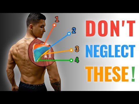 The Supreme Rotator Cuff Strengthening Routine (BULLETPROOF YOUR SHOULDERS)